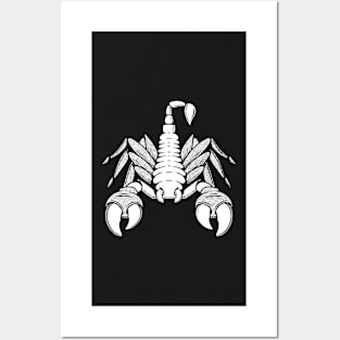 Scorpio Posters and Art